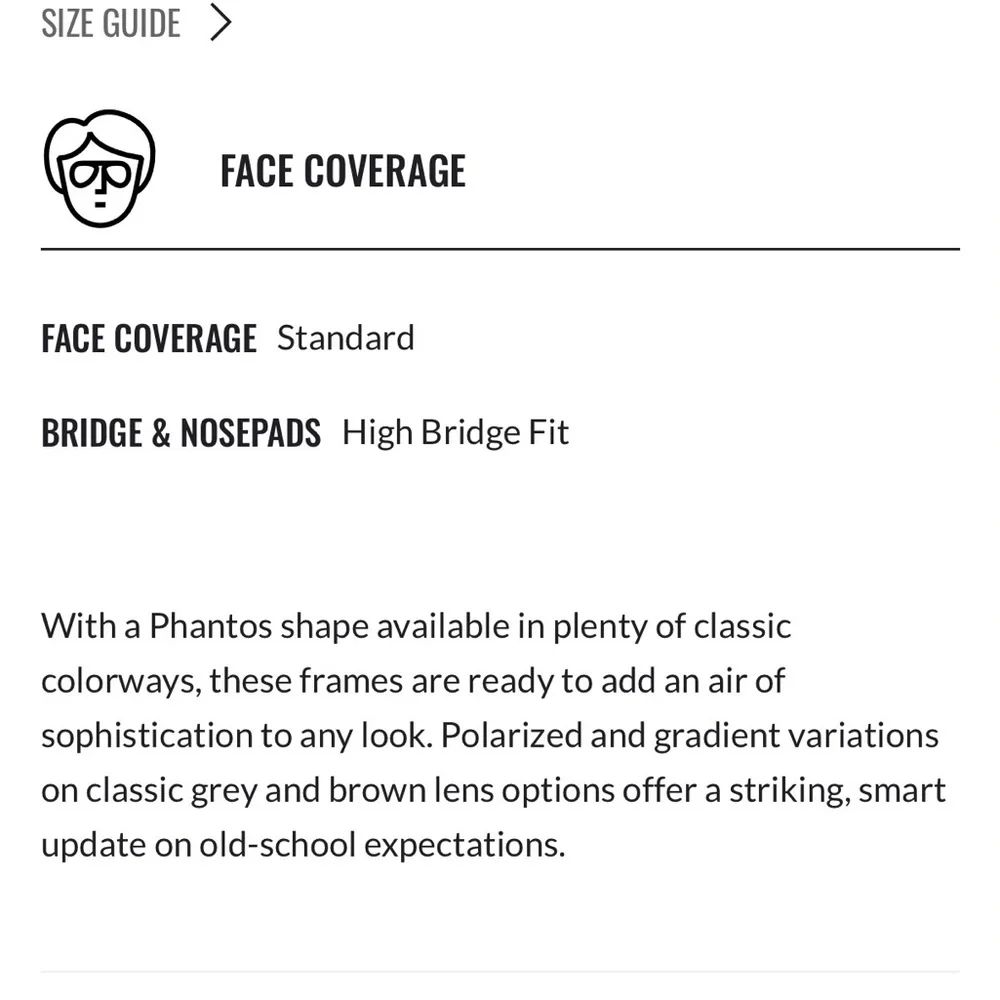 Ray-Ban Phantos 4305 Tortoise Shell Sunglasses